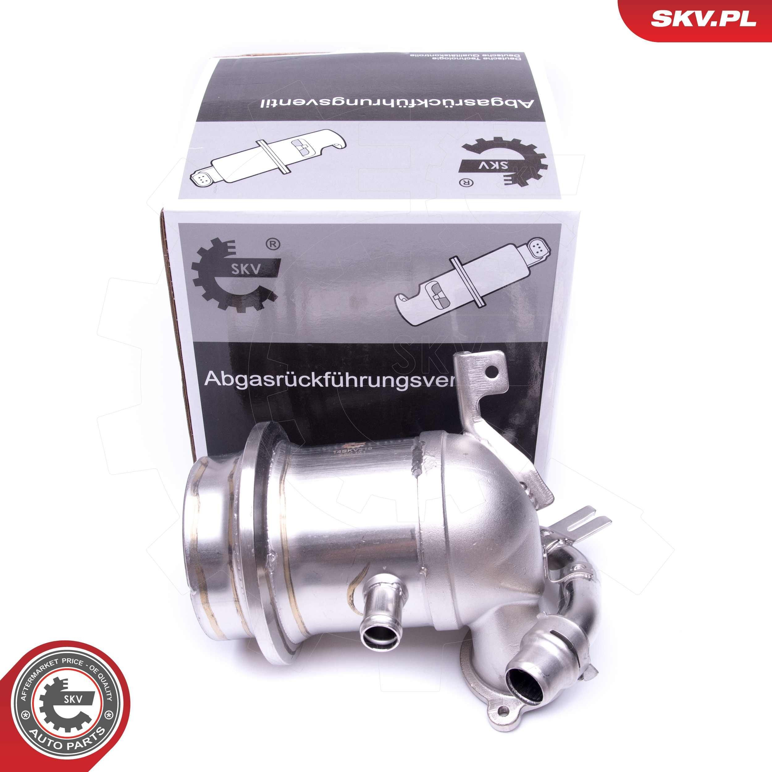14SKV219 SKV